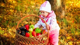 Развлекательная программа «Вот это урожай»