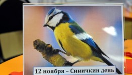 Урок экологии «Здравствуйте, пернатые!»