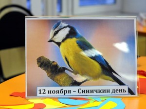 Урок экологии «Здравствуйте, пернатые!»