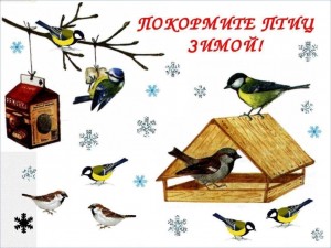 «Покормите,птиц зимой»