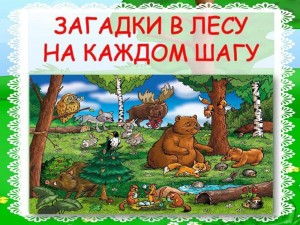 Викторина «Загадки в лесу – на каждом шагу»