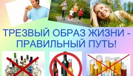 Информационный час «Алкоголь: иллюзия свободы»