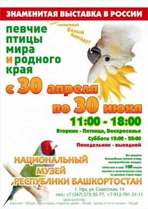 В Национальном музее РБ откроется выставка «Лучшие певчие птицы мира и родного края»