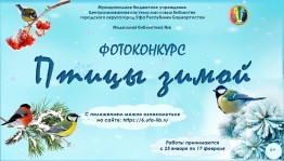 Уфимская библиотека объявила конкурс «Птицы зимой»
