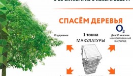 Уфимцы могут сдать макулатуру и спасти дерево