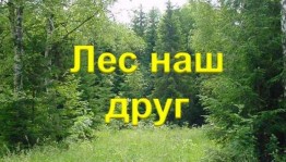 Викторина «Лес наш друг»