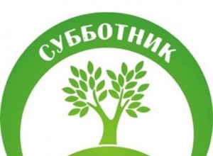 Экологический субботник