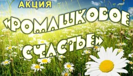 Акция «Ромашковое счастье»