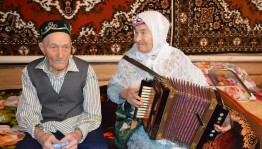 Играй гармонь