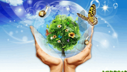 Викторина«Родная земля дарит вдохновение»