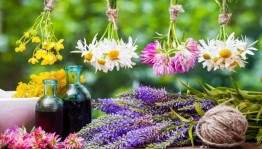 Игровая программа «Иван - травник»