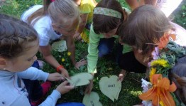 Экологическая викторина «Полна загадок чудесница природа»