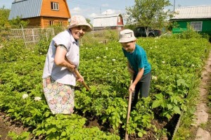 Помощь пожилым в быту «Добрые сердца»