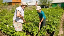 Помощь пожилым в быту «Добрые сердца»
