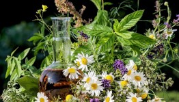 «Соберём и сохраним»