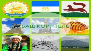 Инфочас «День башкирского языка»