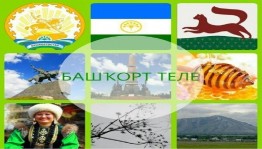 Инфочас «День башкирского языка»