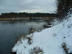 Час вопросов и ответов «Кто прекрасно спит зимой в ямках, норах, под водой»