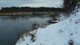 Час вопросов и ответов «Кто прекрасно спит зимой в ямках, норах, под водой»