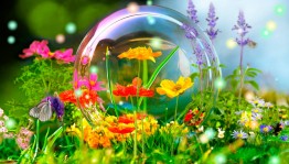 Конкурсно – игровая программа «Вот и лето прошло»