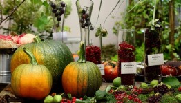 Осенняя ярмарка«Огород-семье доход»