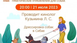 Практические занятия с собаками