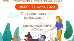 Практические занятия с собаками