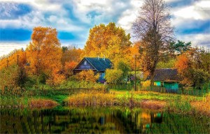 Виртуальная фотовыставка «Природа родного края»