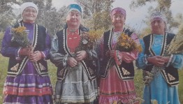 Познавательная программа «Путешествие в зеленую аптеку»