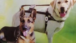 «Собака-поводырь»-познавательная программа