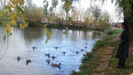 «Мой любимый край»–интеллектуальная игра