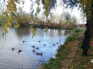 «Мой любимый край»–интеллектуальная игра