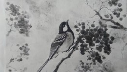 Экологический час«Птицы родного края»