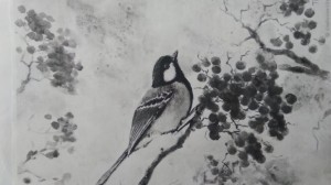 Экологический час«Птицы родного края»