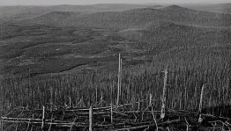 «Загадки Тунгусского метеорита»