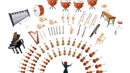 «История создания и развитие инструментов симфонического оркестра»