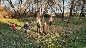 «На лесных тропинках»