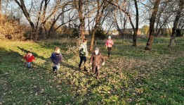 «На лесных тропинках»