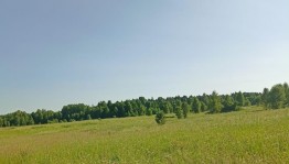 Книжная выставка «Здесь Родины моей начало... »