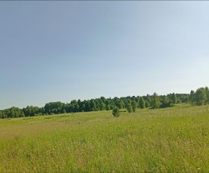 Книжная выставка «Здесь Родины моей начало... »