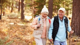 Солнечные дни