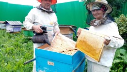 «Медовый спас»