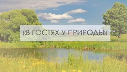 «У природы в гостях»