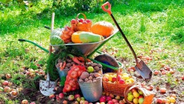 «Огород круглый год»