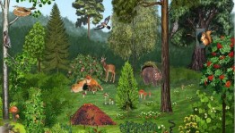 Экологическая викторина«Живая природа »