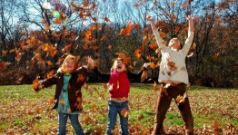 Игры на свежем воздухе