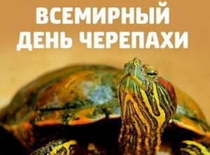 «Да здравствуют рептилии!»
