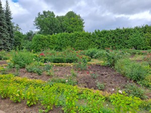«Заповедный мир природы»