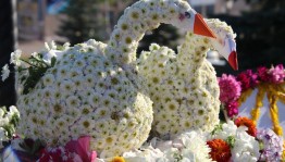 Праздник цветов «Цветов прекрасен облик милый»