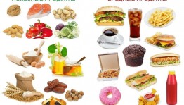 «Всемирный день здорового питания »